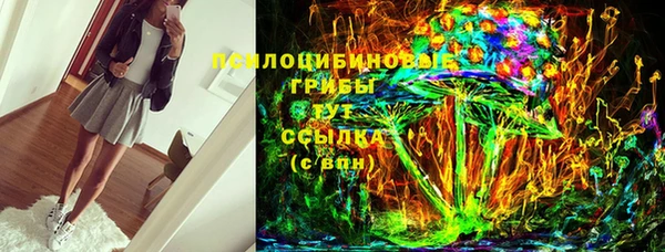 твердый Лабытнанги
