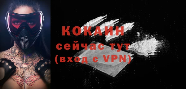 ПСИЛОЦИБИНОВЫЕ ГРИБЫ Ладушкин