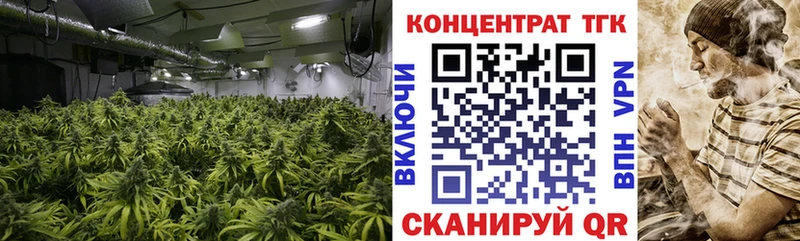 Купить закладки  Льгов  ТГК жижа 