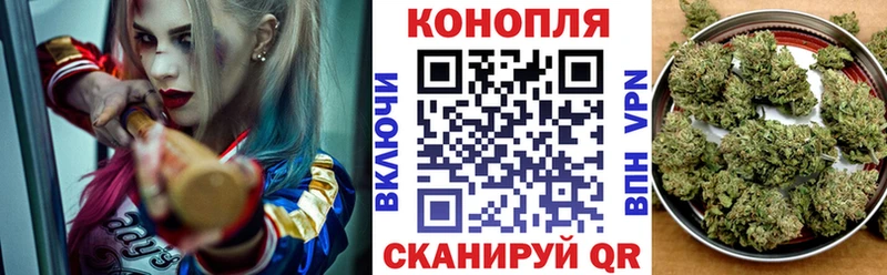 Канабис сатива Купить где Льгов